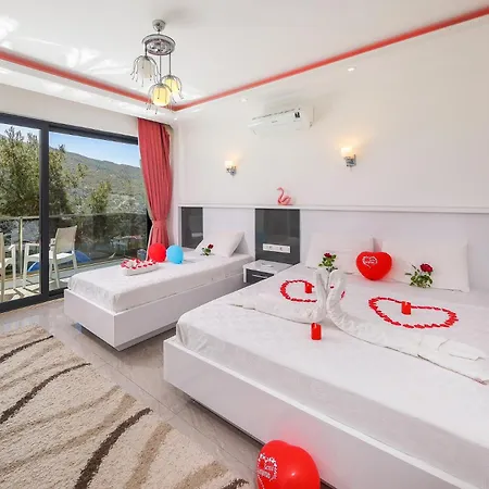 Villa Eco Asena *
